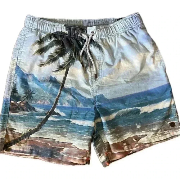 Island Haze Mens Board Shorts Blue Bathing Suit Beach Ocean XXL Youth - Picture 1 of 12